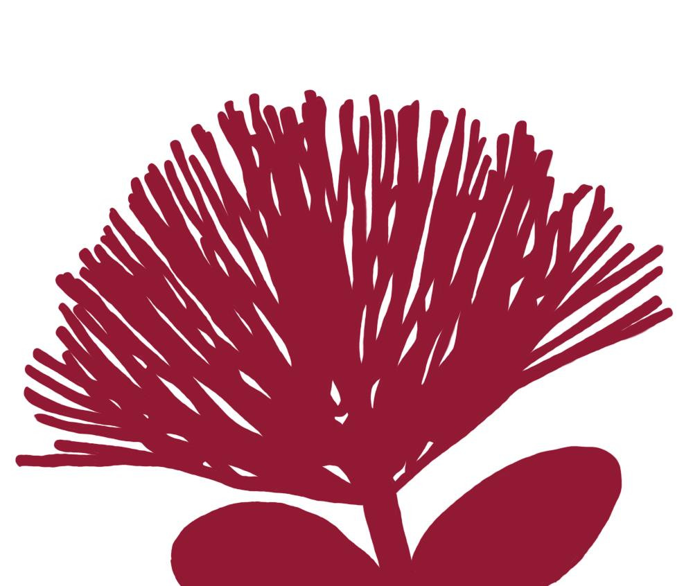 Community Foundation